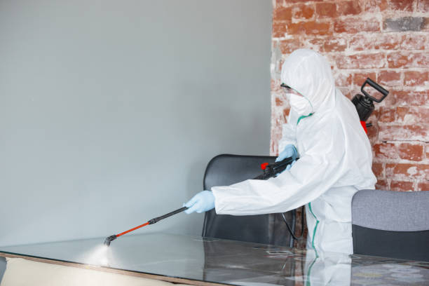 Best Environmental Consulting for Mold Prevention  in Sullivans Island, SC